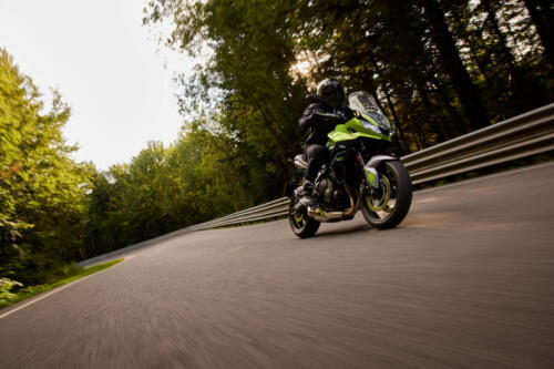 OE_TigerSport660_MY25_01692_JP-1