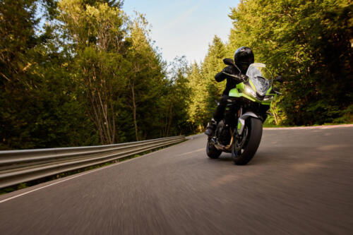 OE_TigerSport660_MY25_01865_JP