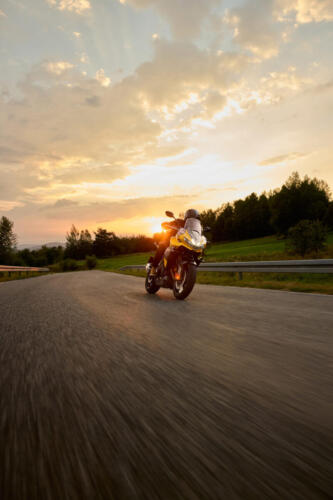 OE_TigerSport800_MY25_03978_JP