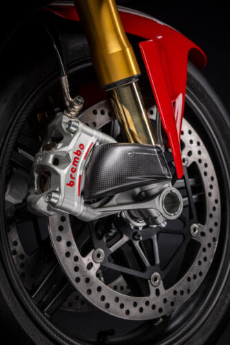 Panigale V4 SP2 30° Anniversario 916 (43)