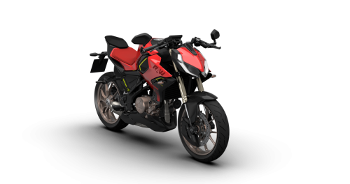 QJMotor RAW250 (5)