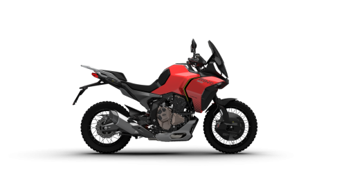 QJMotor RHINO (3)