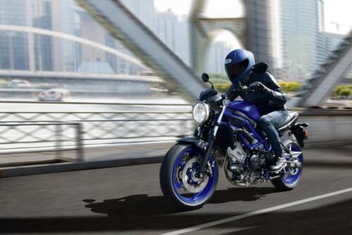 SV650