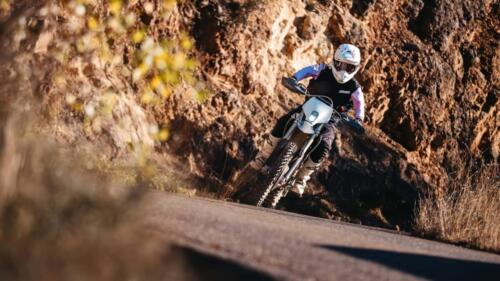 Stark Varg Ex (13)_1