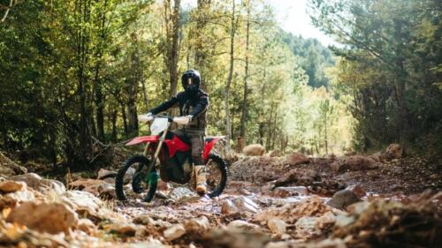 Stark Varg Ex (15)_1