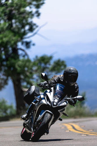 Suzuki GSX-8R - 2024 (10)