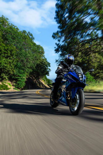 Suzuki GSX-8R - 2024 (120)