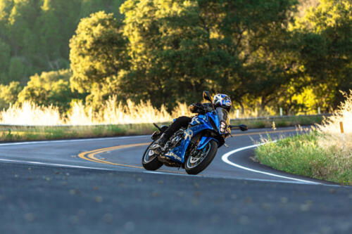 Suzuki GSX-8R - 2024 (122)