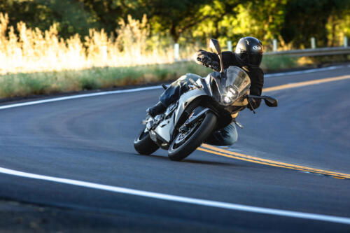Suzuki GSX-8R - 2024 (140)