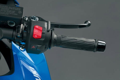 Suzuki GSX-8R - 2024 (194)