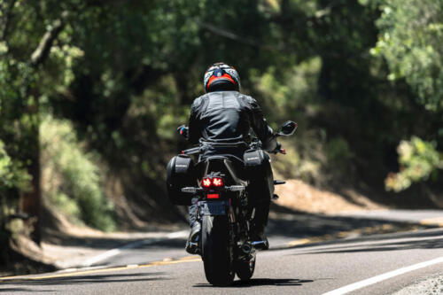 Suzuki GSX-8R - 2024 (20)