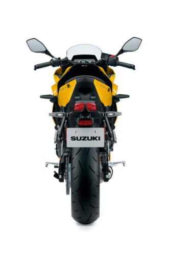 Suzuki GSX-8R - 2024 (214)