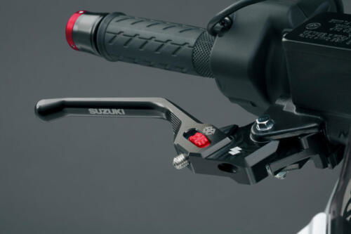 Suzuki GSX-8R - 2024 (41)