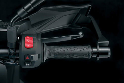 Suzuki GSX-S1000GX - 2024 (365)