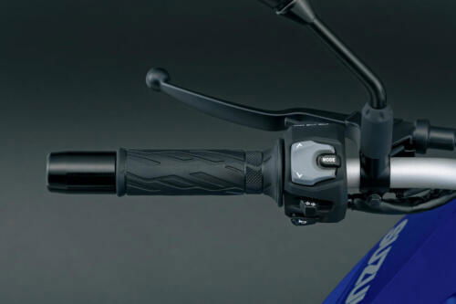 Suzuki V-Strom 800 - 2024 (134)