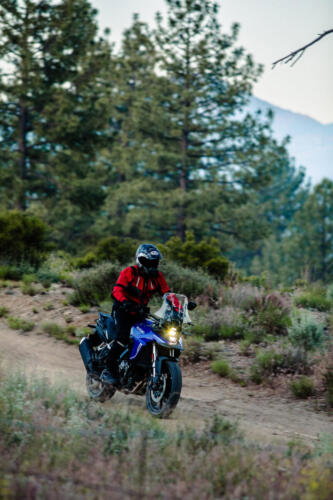 Suzuki V-Strom 800 - 2024 (33)
