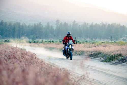 Suzuki V-Strom 800 - 2024 (82)