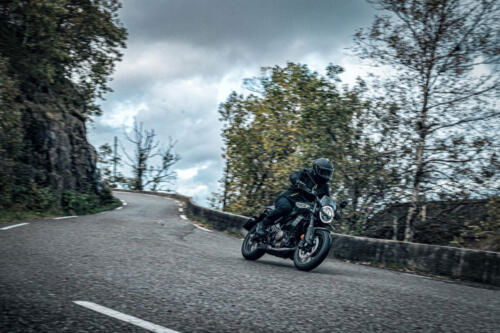 Svartpilen 401 2024 (4)