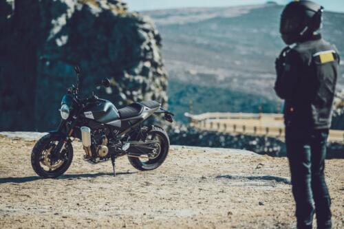 Svartpilen 801 2024 (7)