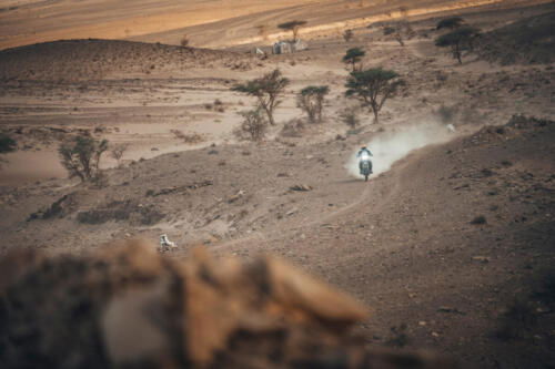 The Great Adventure (10)