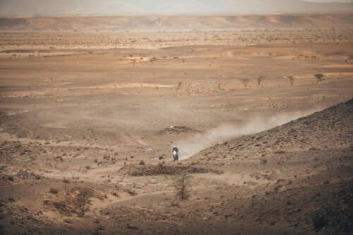 The Great Adventure (11)