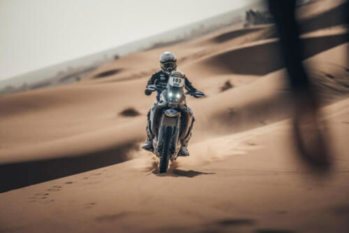 The Great Adventure (12)