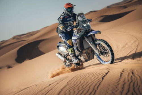 The Great Adventure (13)