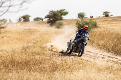 The Great Adventure (20)