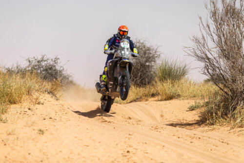 The Great Adventure (22)