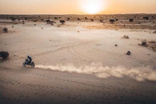 The Great Adventure (24)