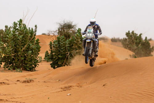 The Great Adventure (26)