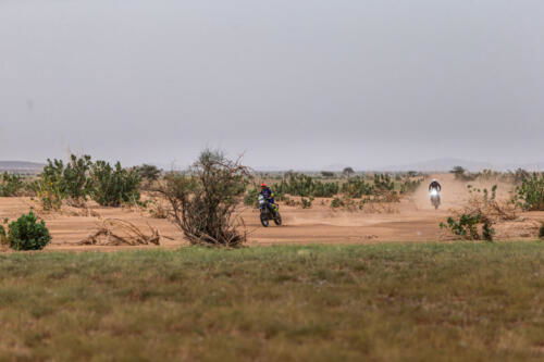 The Great Adventure (27)