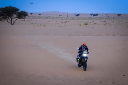 The Great Adventure (28)