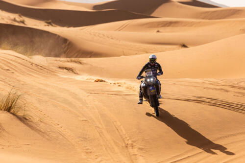 The Great Adventure (36)