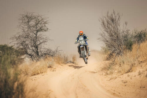 The Great Adventure (4)