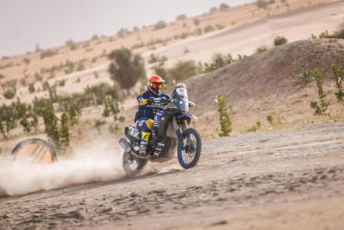 The Great Adventure (44)