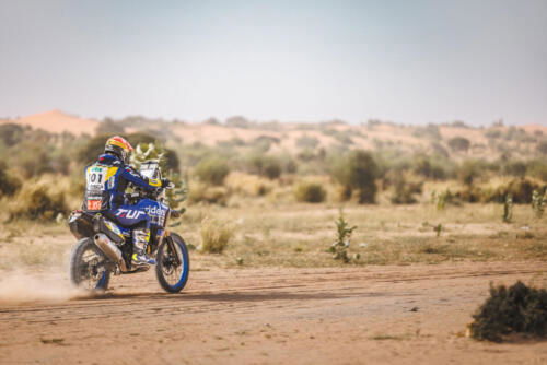 The Great Adventure (45)