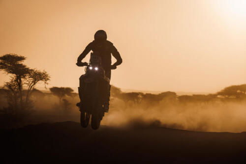 The Great Adventure (46)