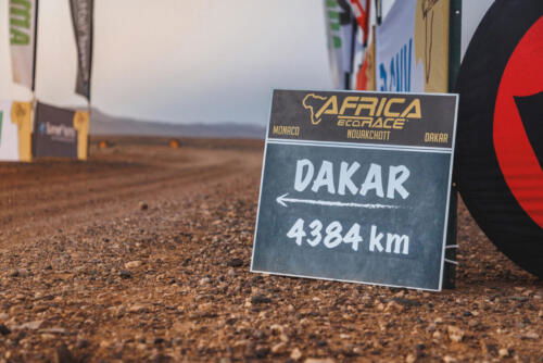 The Great Adventure (49)