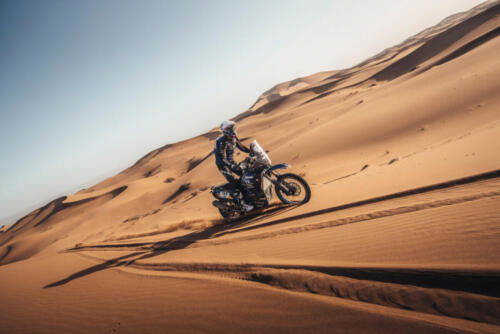 The Great Adventure (79)