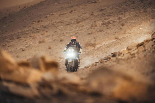 The Great Adventure (9)