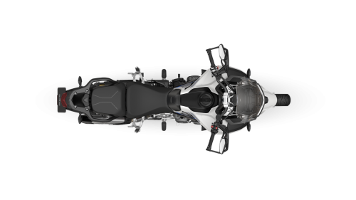 Tiger-1200_MY26_Alpine-Edition_Satin-Crystal-White_TOP