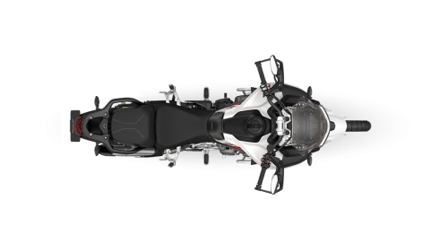 Tiger-1200_MY26_Desert-Edition_Crystal-White_TOP