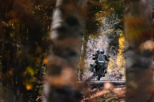 Tiger-1200_Rally-Explorer_MY22_27A5105_ML