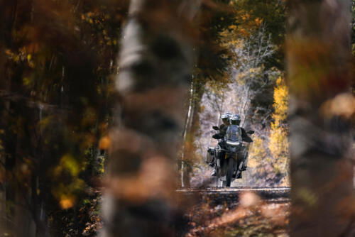 Tiger-1200_Rally-Explorer_MY22_27A5105_ML