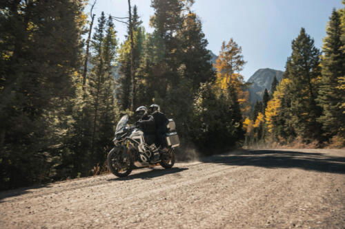 Tiger-1200_Rally-Explorer_MY22_N4I2553_ML