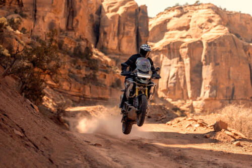 Tiger-1200_Rally-Pro_MY22_27A4186_ML