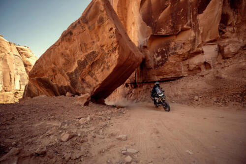 Tiger-1200_Rally-Pro_MY22_G0I7389_ML