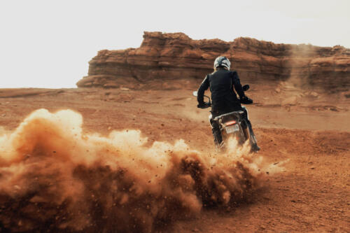 Tiger-1200_Rally-Pro_MY22_N4I9503_ML