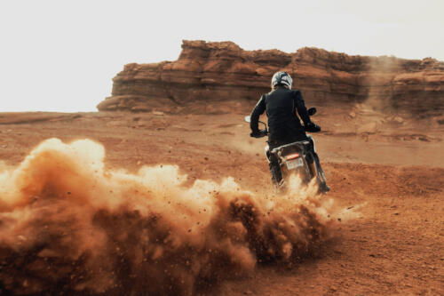 Tiger-1200_Rally-Pro_MY22_N4I9503_ML